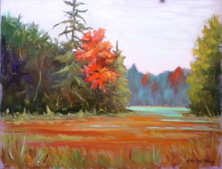 DSC00387_crop.jpg